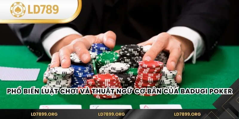 Badugi Poker – Trò Chơi Bài Độc Đáo Và Thú Vị Phổ biến luật chơi và thuật ngữ cơ bản của Badugi Poker