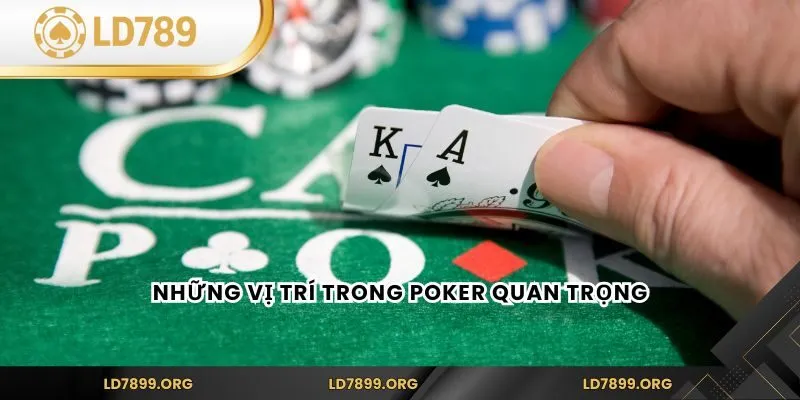 Các Vị Trí Trong Poker LD789 Và Cách Tận Dụng Chiến Thuật Những vị trí trong Poker quan trọng