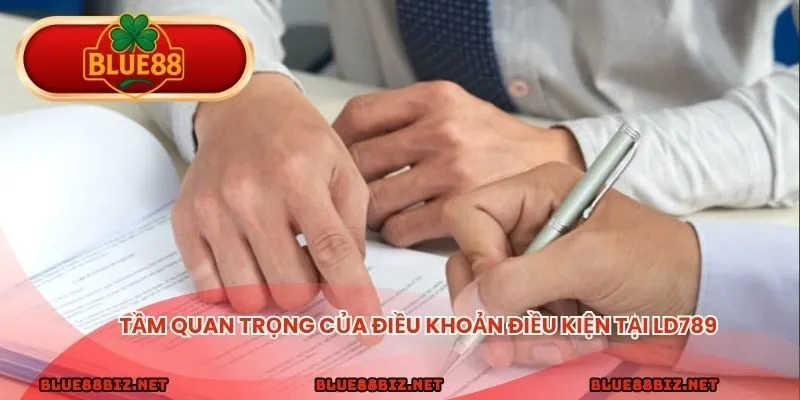 Điều Khoản Điều Kiện - Trọn Bộ Nguyên Tắc Cần Nắm Rõ Tầm quan trọng của điều khoản điều kiện tại LD789